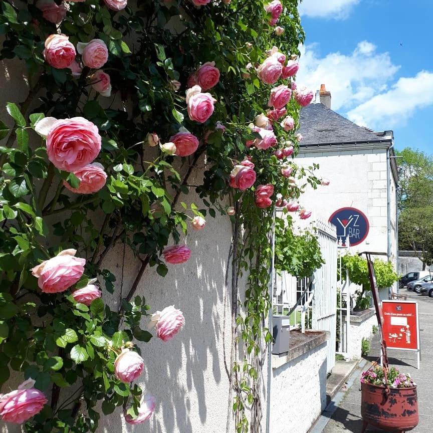 Logis Hotel Restaurant Relais De La Mothe Yzeures-sur-Creuse Buitenkant foto